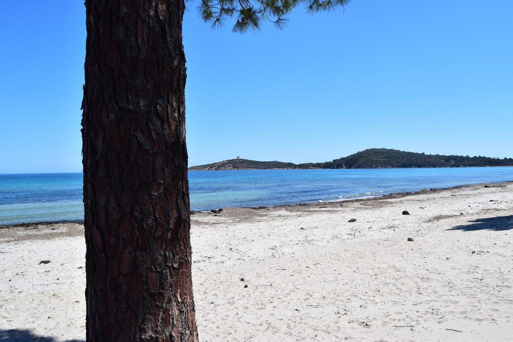 Les Hauts De Pinarello Apartman Sainte-Lucie de Porto-Vecchio Kültér fotó